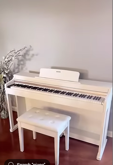 Donner DDP-100 Piano