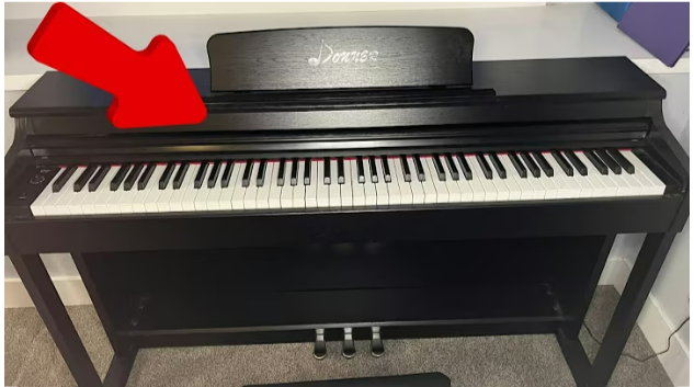 Donner Ddp-100 Review